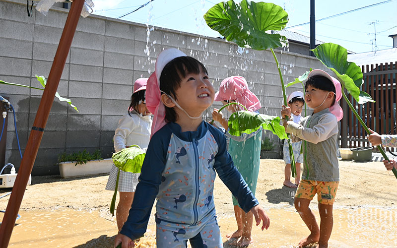 夏に園庭で水着で水遊びをする園児たち